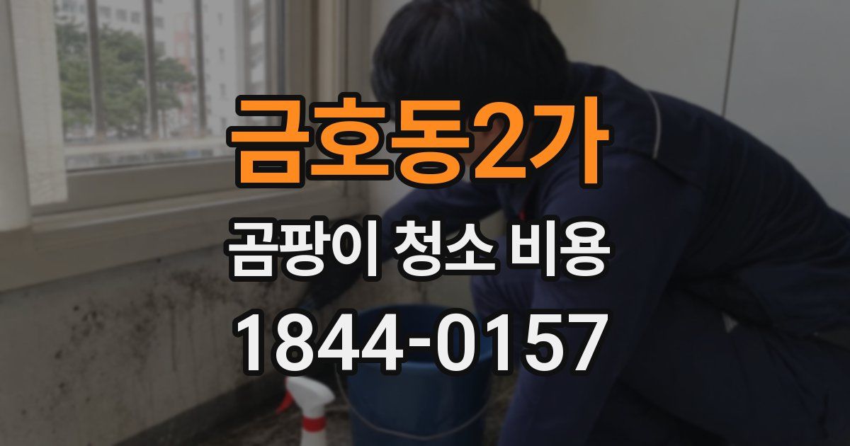 금호동2가 곰팡이 청소 비용