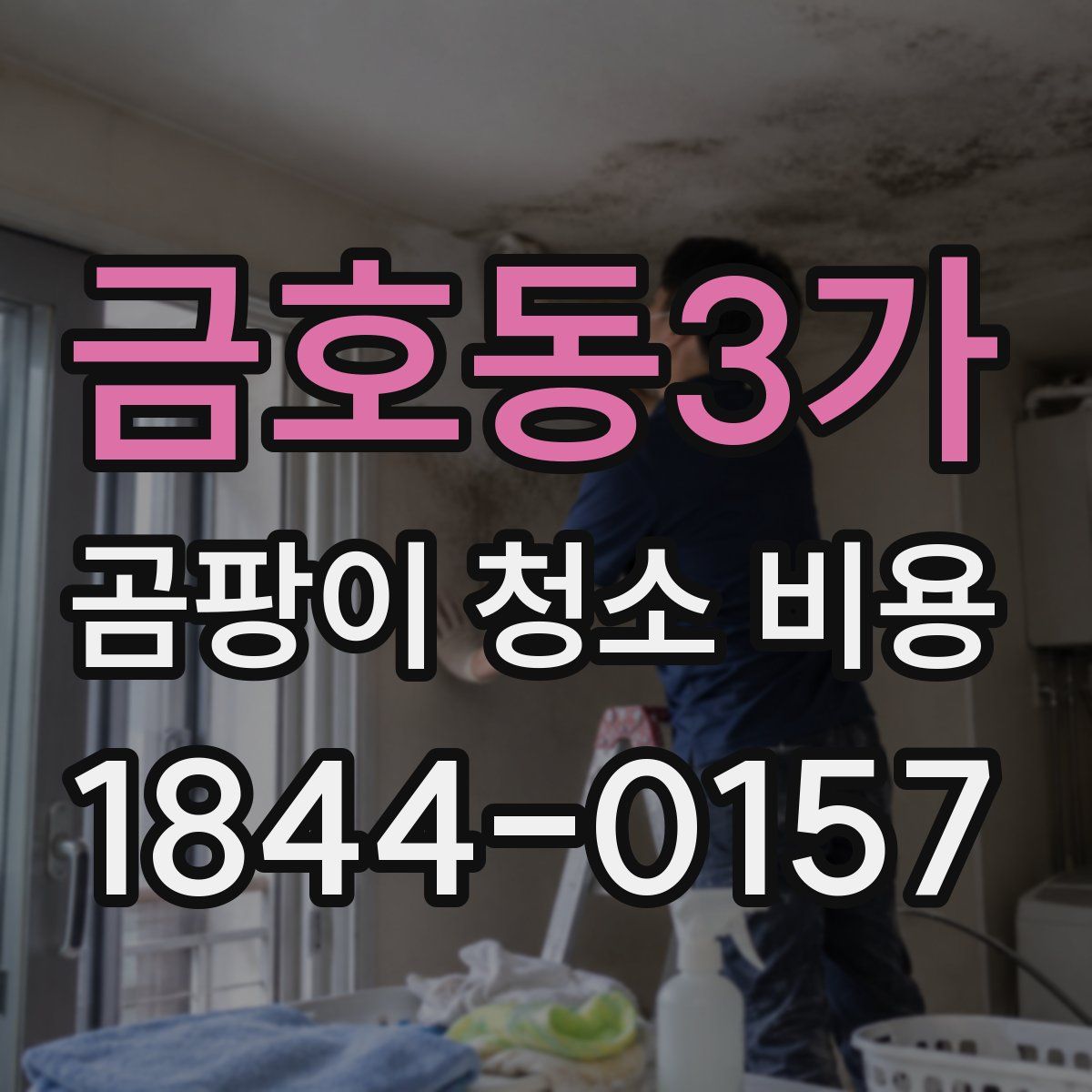 금호동3가 곰팡이 청소 비용