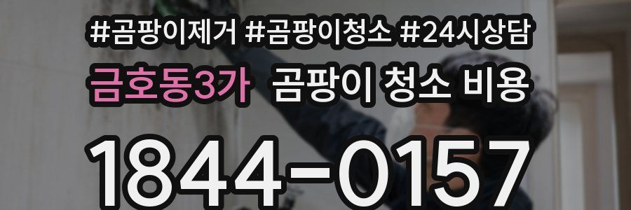 금호동3가 곰팡이 청소 비용