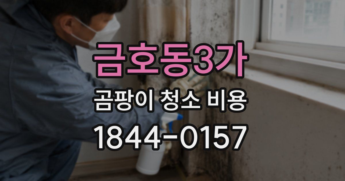 금호동3가 곰팡이 청소 비용