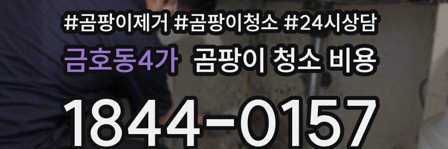 금호동4가 곰팡이 청소 비용