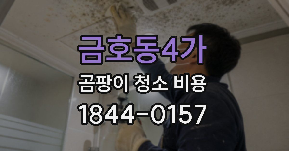 금호동4가 곰팡이 청소 비용