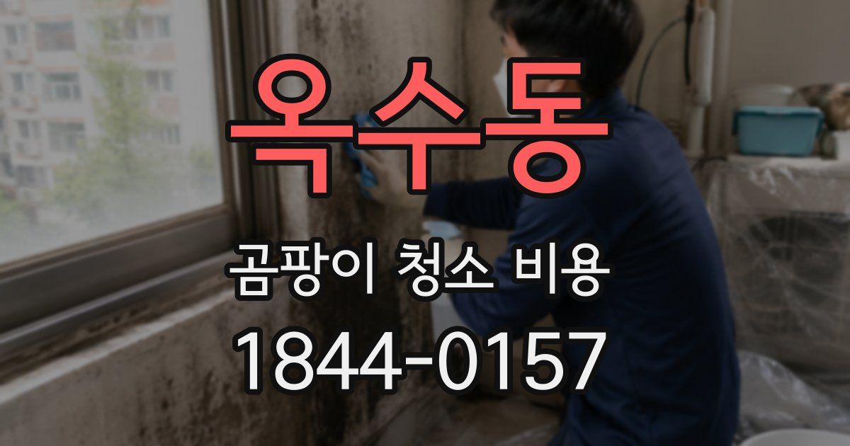 옥수동 곰팡이 청소 비용