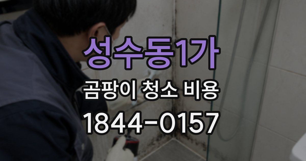 성수동1가 곰팡이 청소 비용