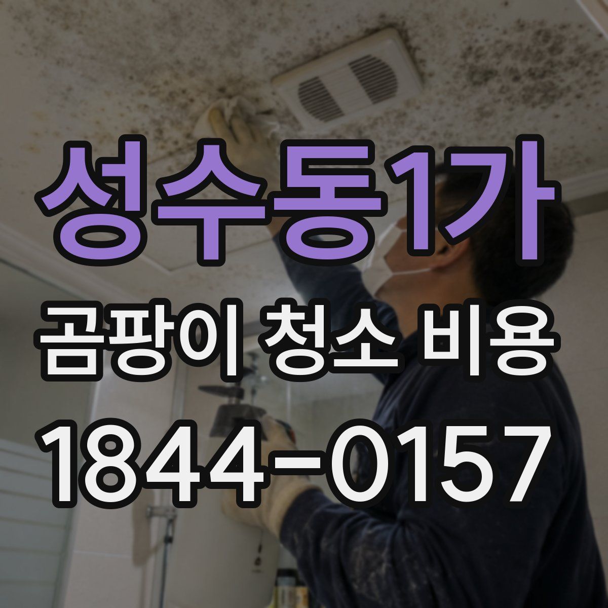 성수동1가 곰팡이 청소 비용