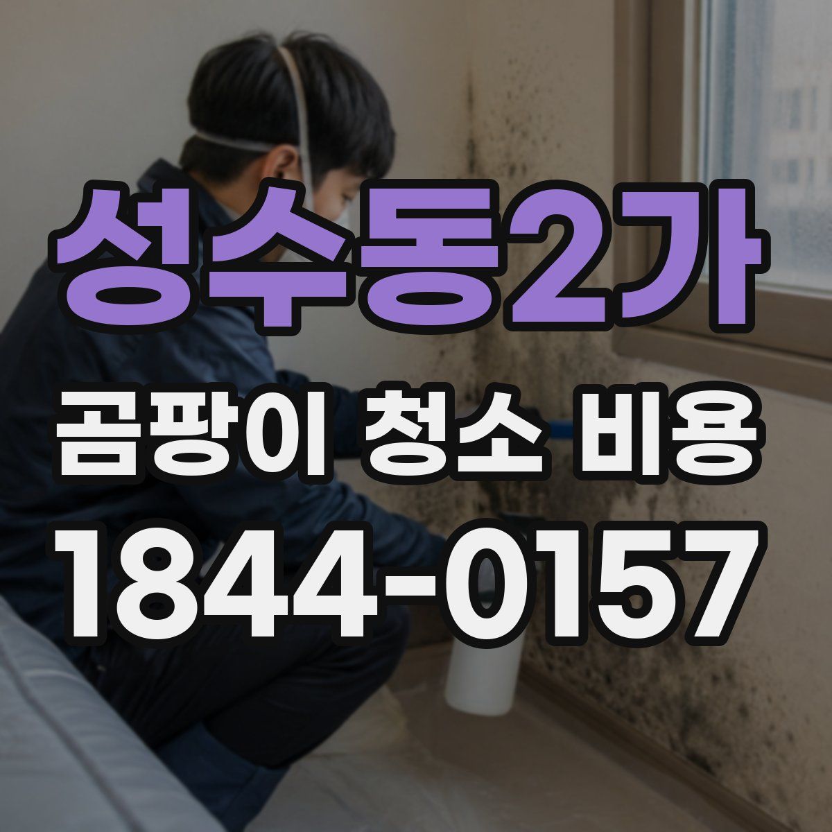 성수동2가 곰팡이 청소 비용
