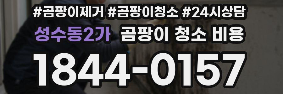 성수동2가 곰팡이 청소 비용