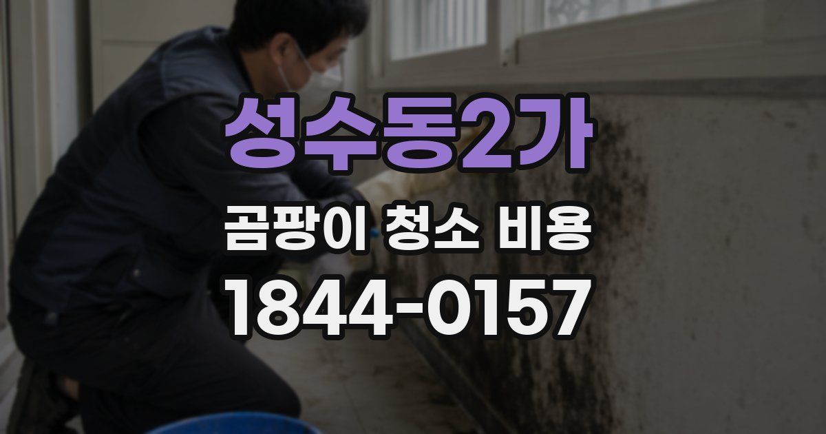 성수동2가 곰팡이 청소 비용