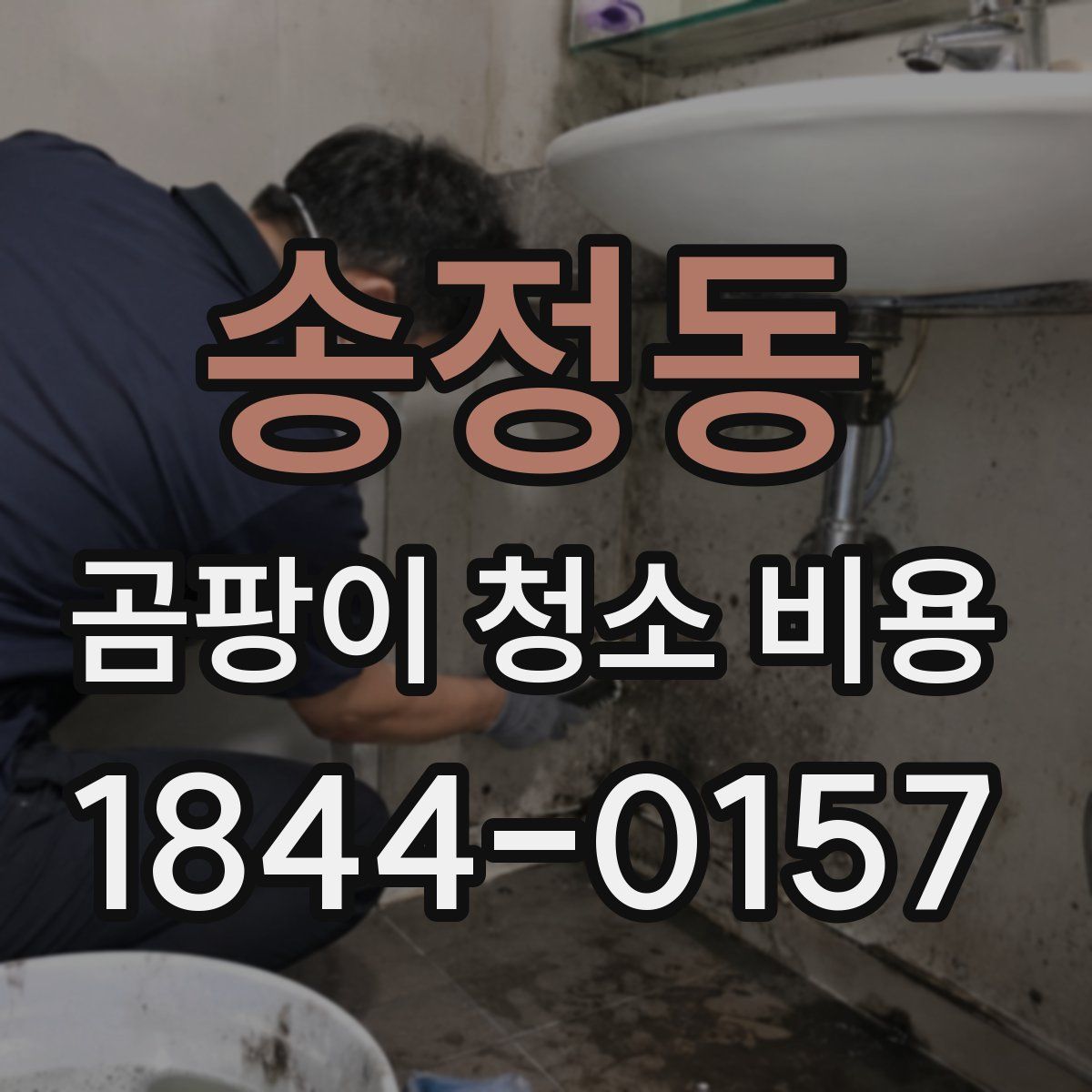 송정동 곰팡이 청소 비용