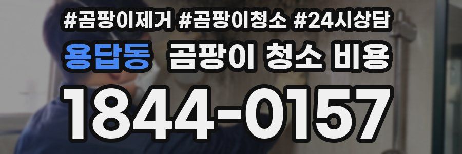 용답동 곰팡이 청소 비용