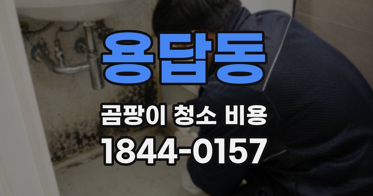 용답동 곰팡이 청소 비용