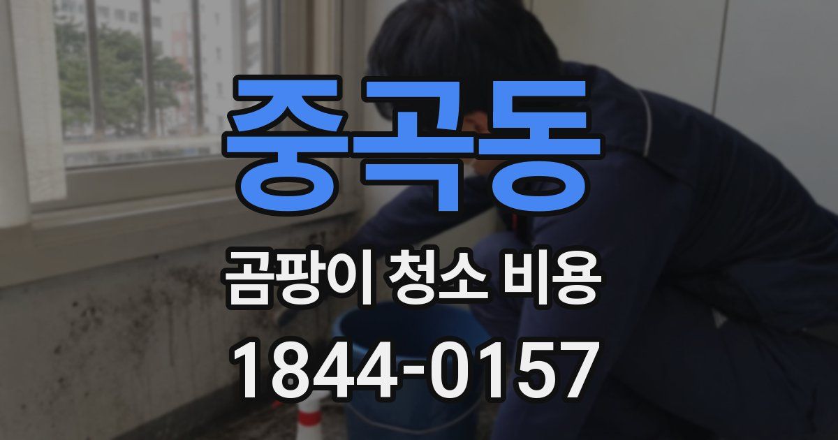 중곡동 곰팡이 청소 비용