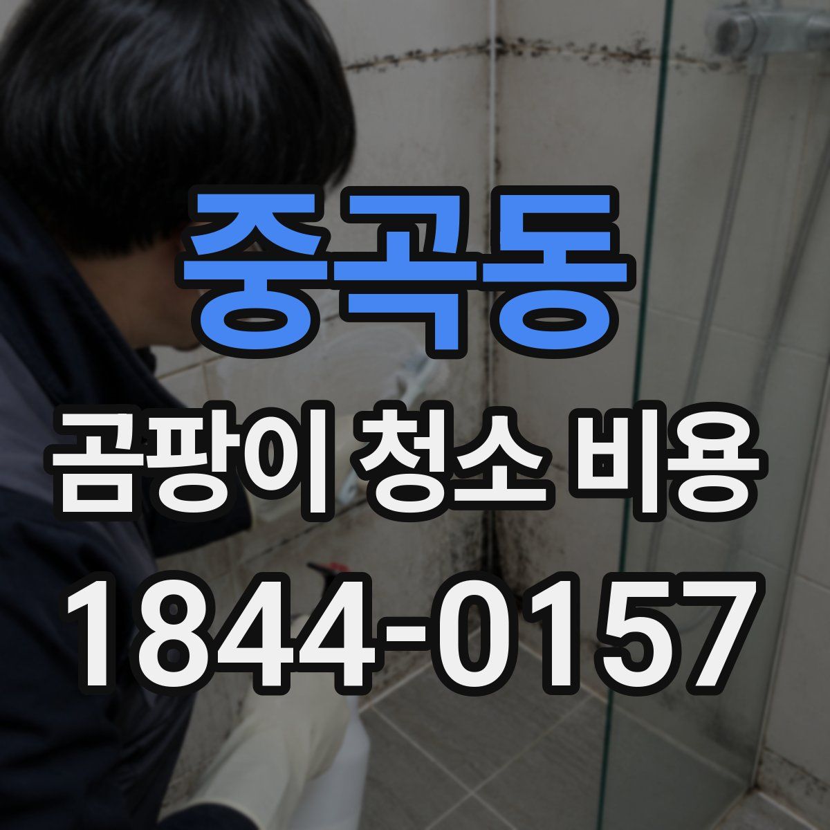중곡동 곰팡이 청소 비용