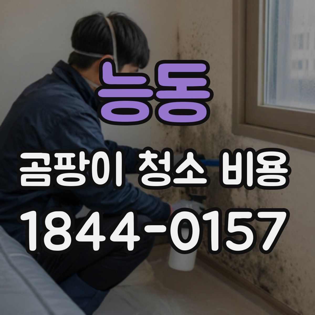 능동 곰팡이 청소 비용