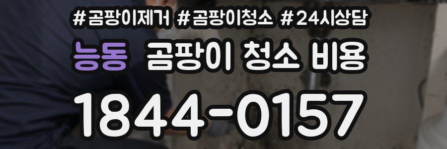 능동 곰팡이 청소 비용