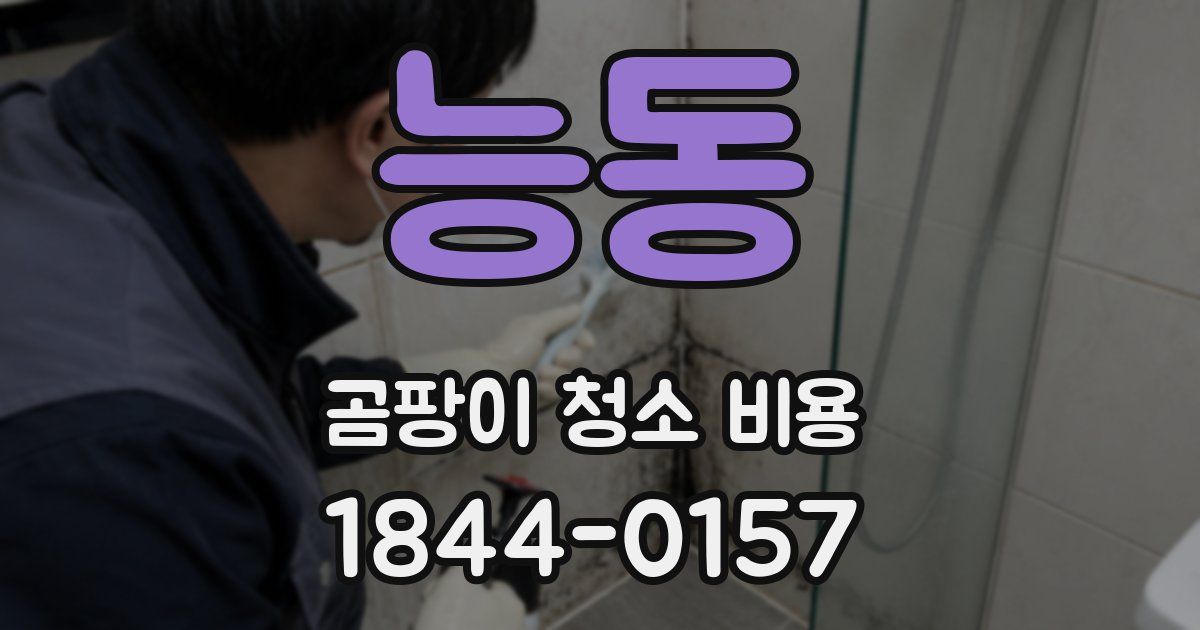능동 곰팡이 청소 비용