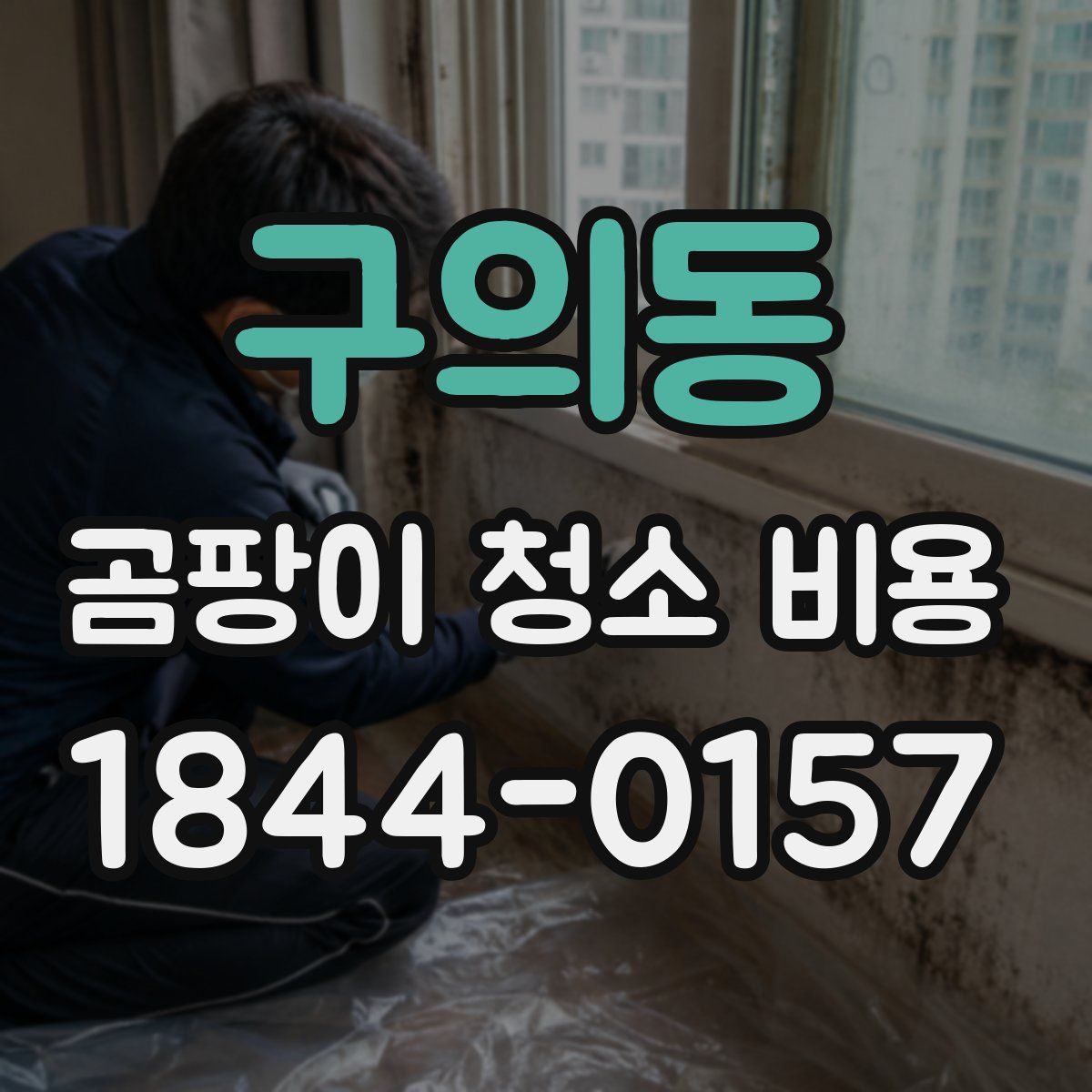 구의동 곰팡이 청소 비용