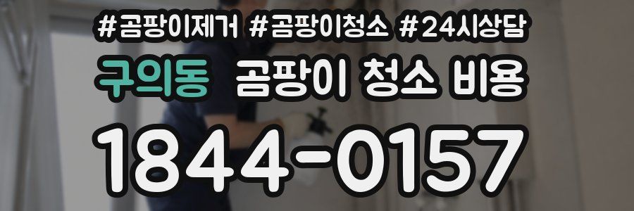 구의동 곰팡이 청소 비용