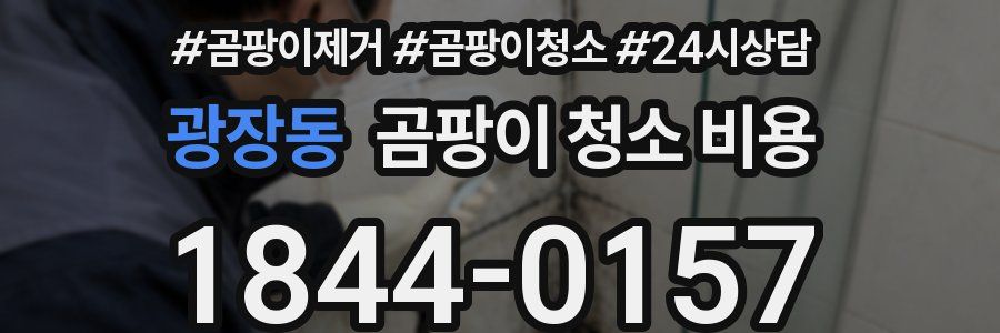광장동 곰팡이 청소 비용