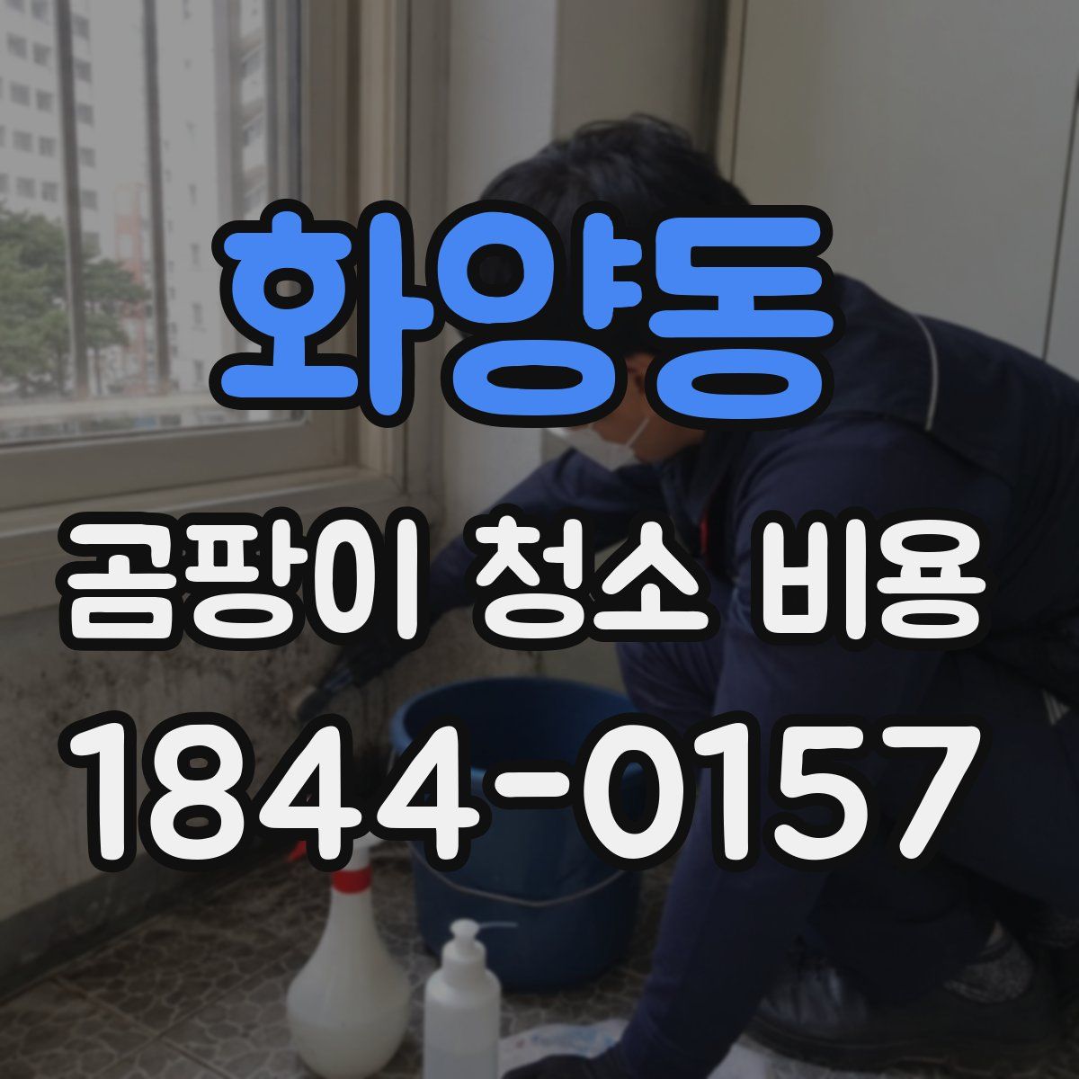 화양동 곰팡이 청소 비용