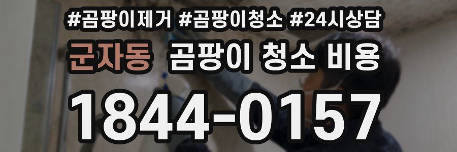 군자동 곰팡이 청소 비용