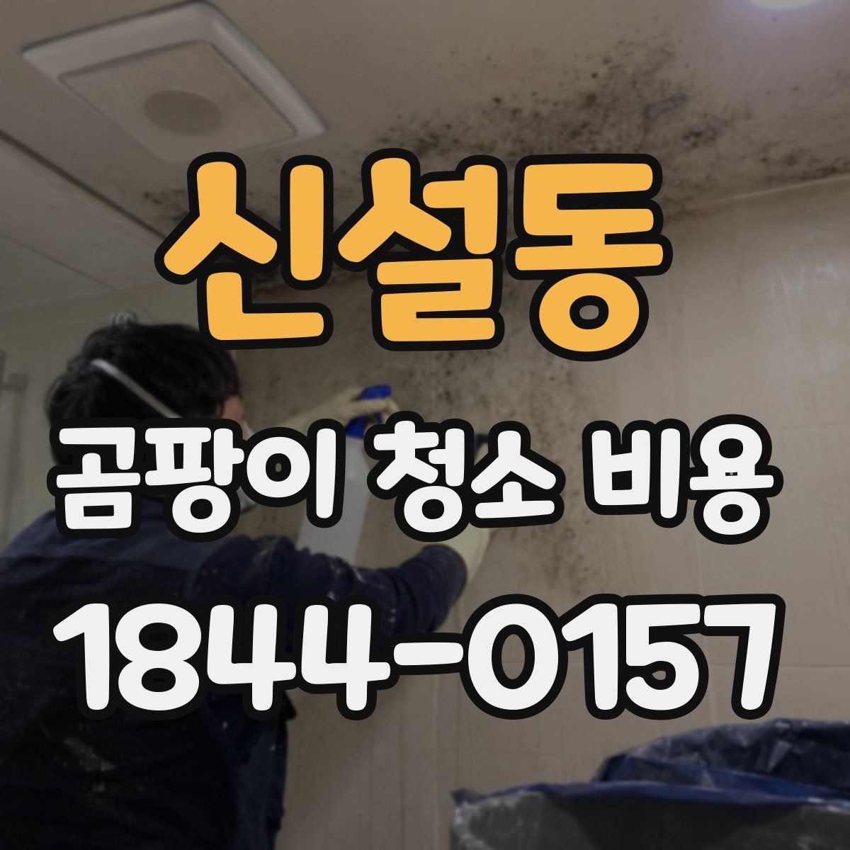신설동 곰팡이 청소 비용 베란다 결로가 넓게 퍼진 현장의 기준