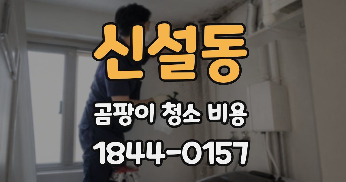 신설동 곰팡이 청소 비용