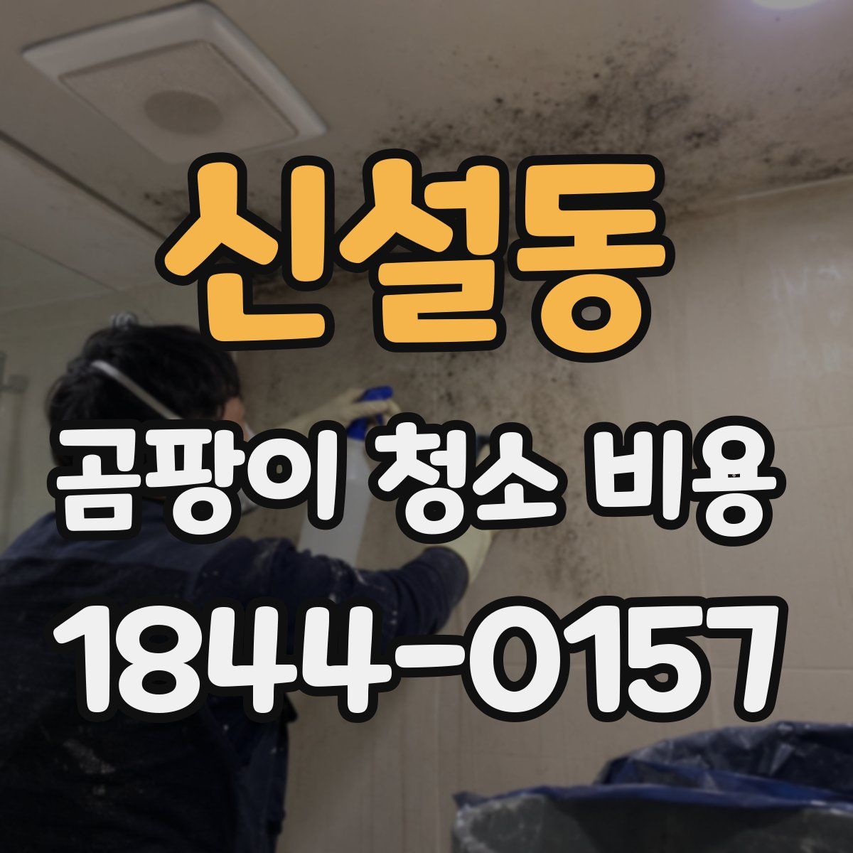신설동 곰팡이 청소 비용