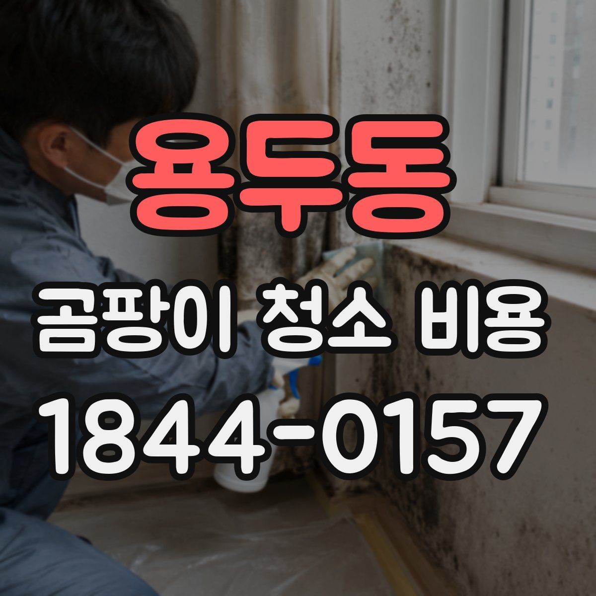 용두동 곰팡이 청소 비용