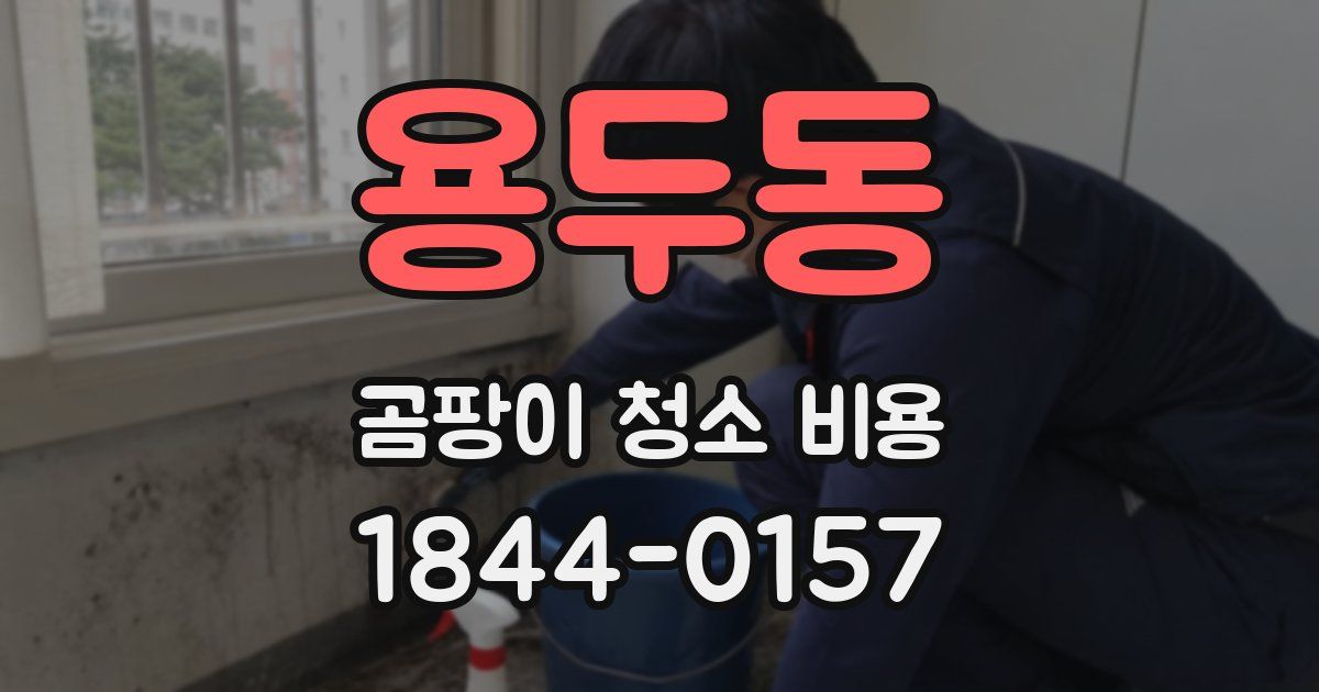 용두동 곰팡이 청소 비용