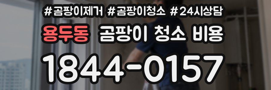 용두동 곰팡이 청소 비용