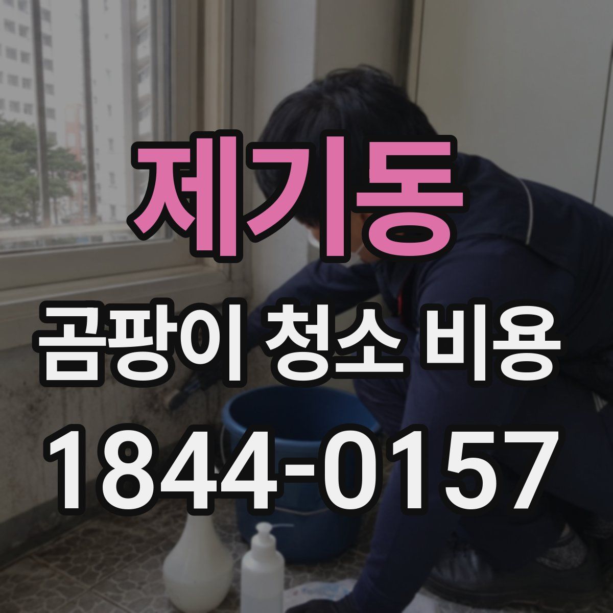 제기동 곰팡이 청소 비용