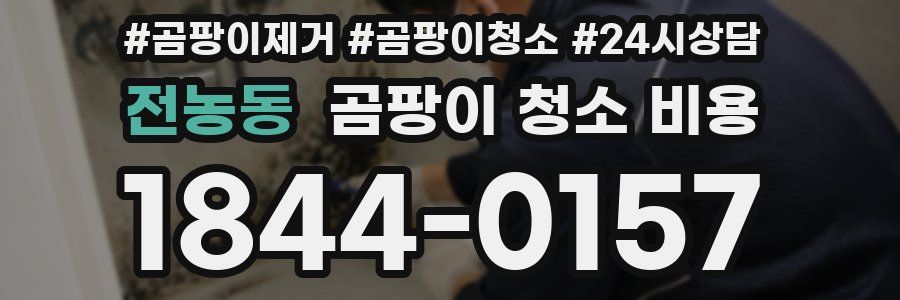 전농동 곰팡이 청소 비용