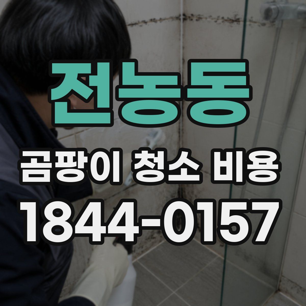 전농동 곰팡이 청소 비용