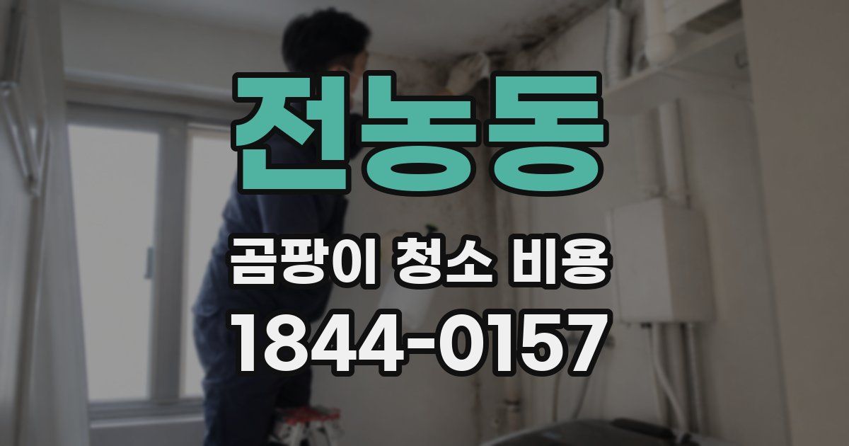 전농동 곰팡이 청소 비용
