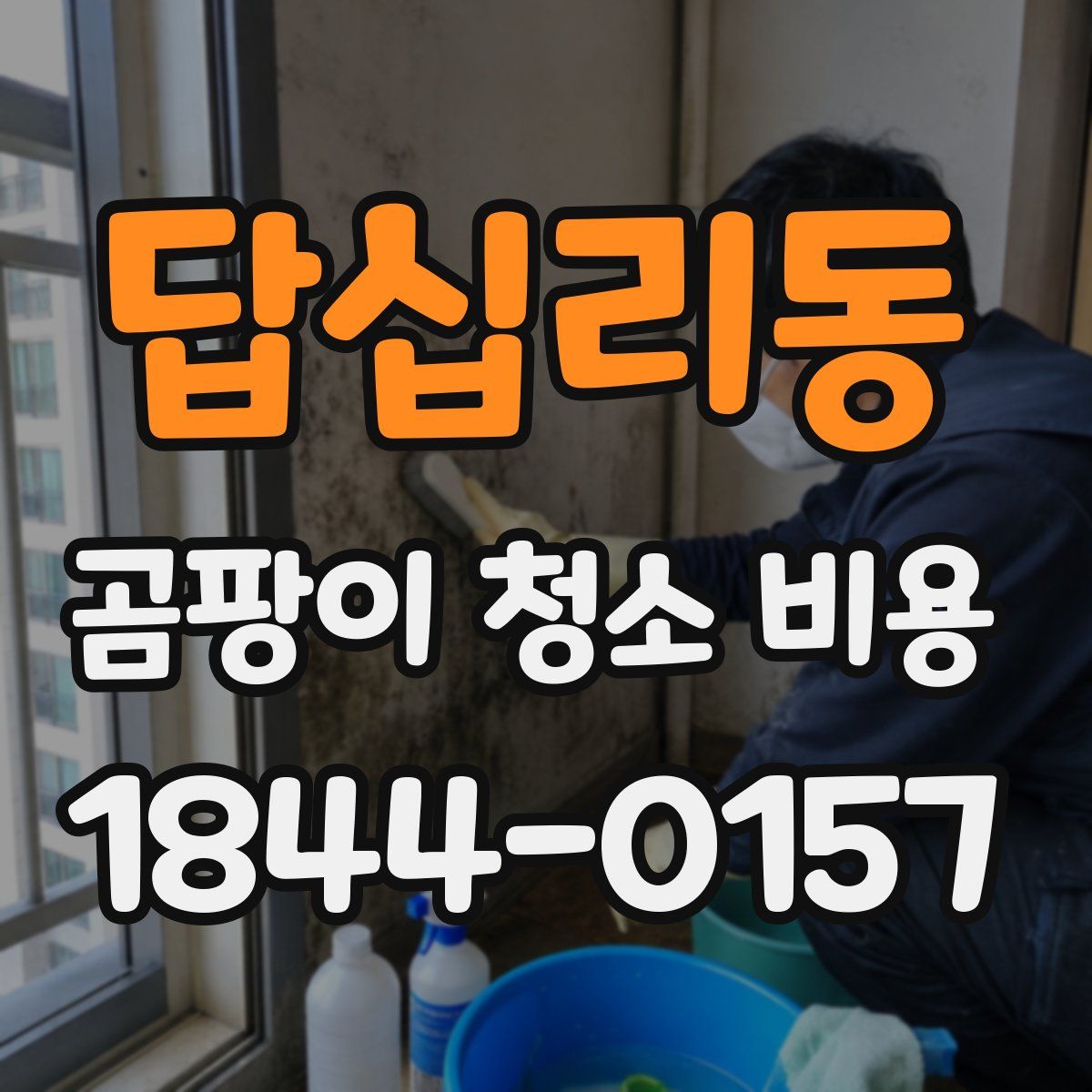 답십리동 곰팡이 청소 비용