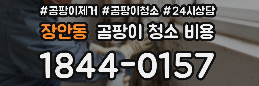 장안동 곰팡이 청소 비용