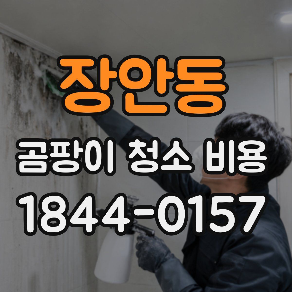 장안동 곰팡이 청소 비용