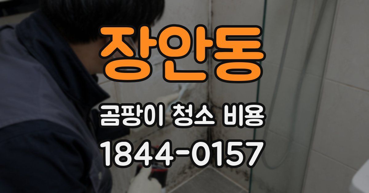 장안동 곰팡이 청소 비용