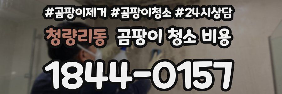 청량리동 곰팡이 청소 비용