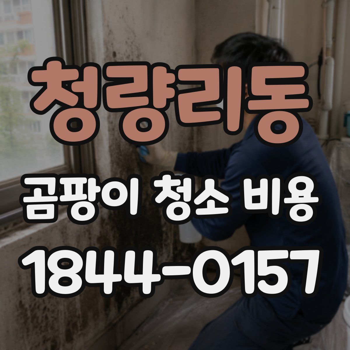 청량리동 곰팡이 청소 비용