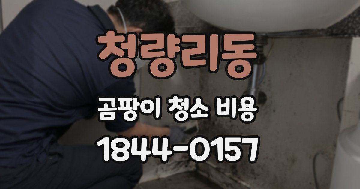 청량리동 곰팡이 청소 비용