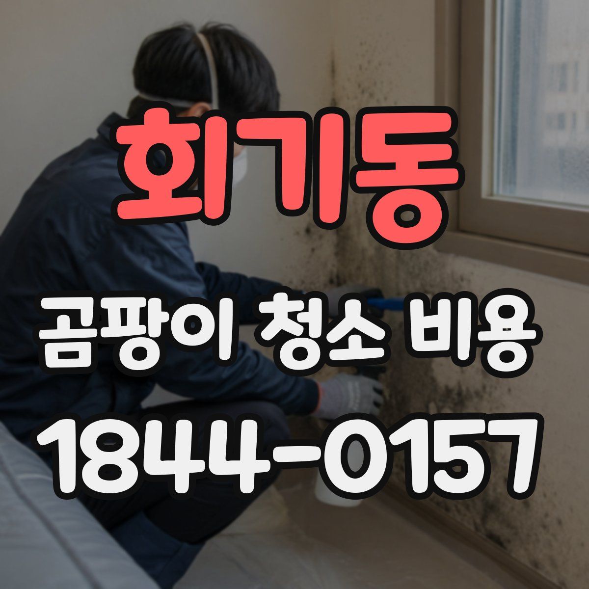 회기동 곰팡이 청소 비용
