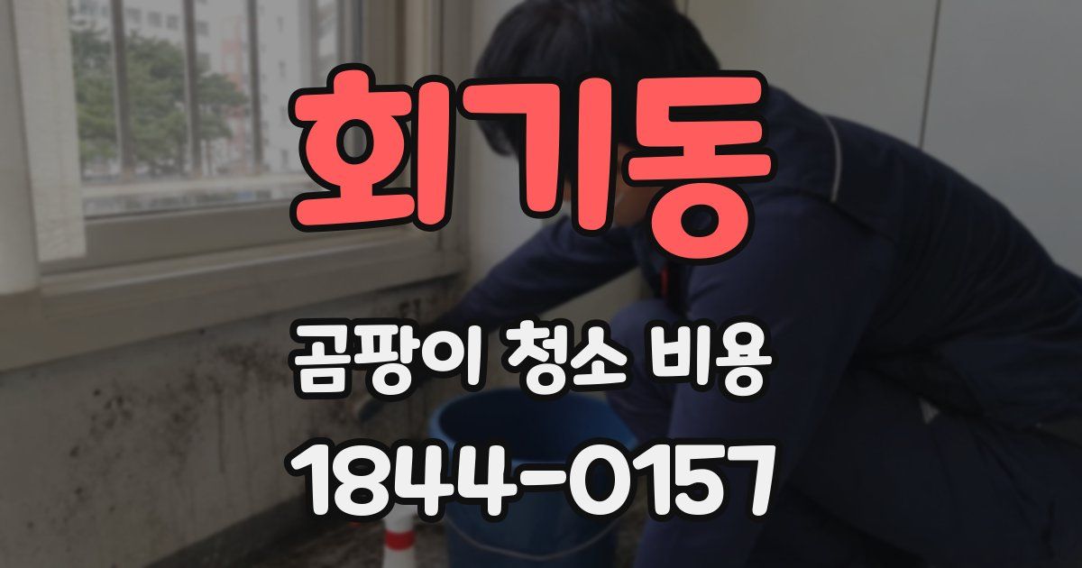 회기동 곰팡이 청소 비용