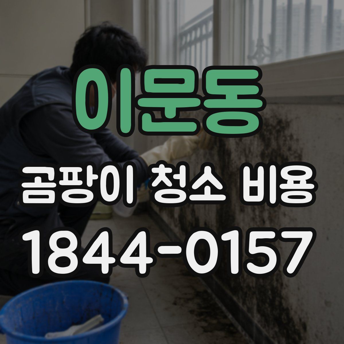 이문동 곰팡이 청소 비용