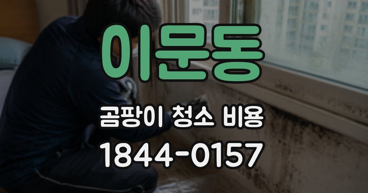이문동 곰팡이 청소 비용