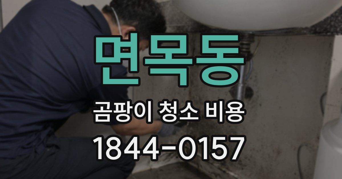 면목동 곰팡이 청소 비용
