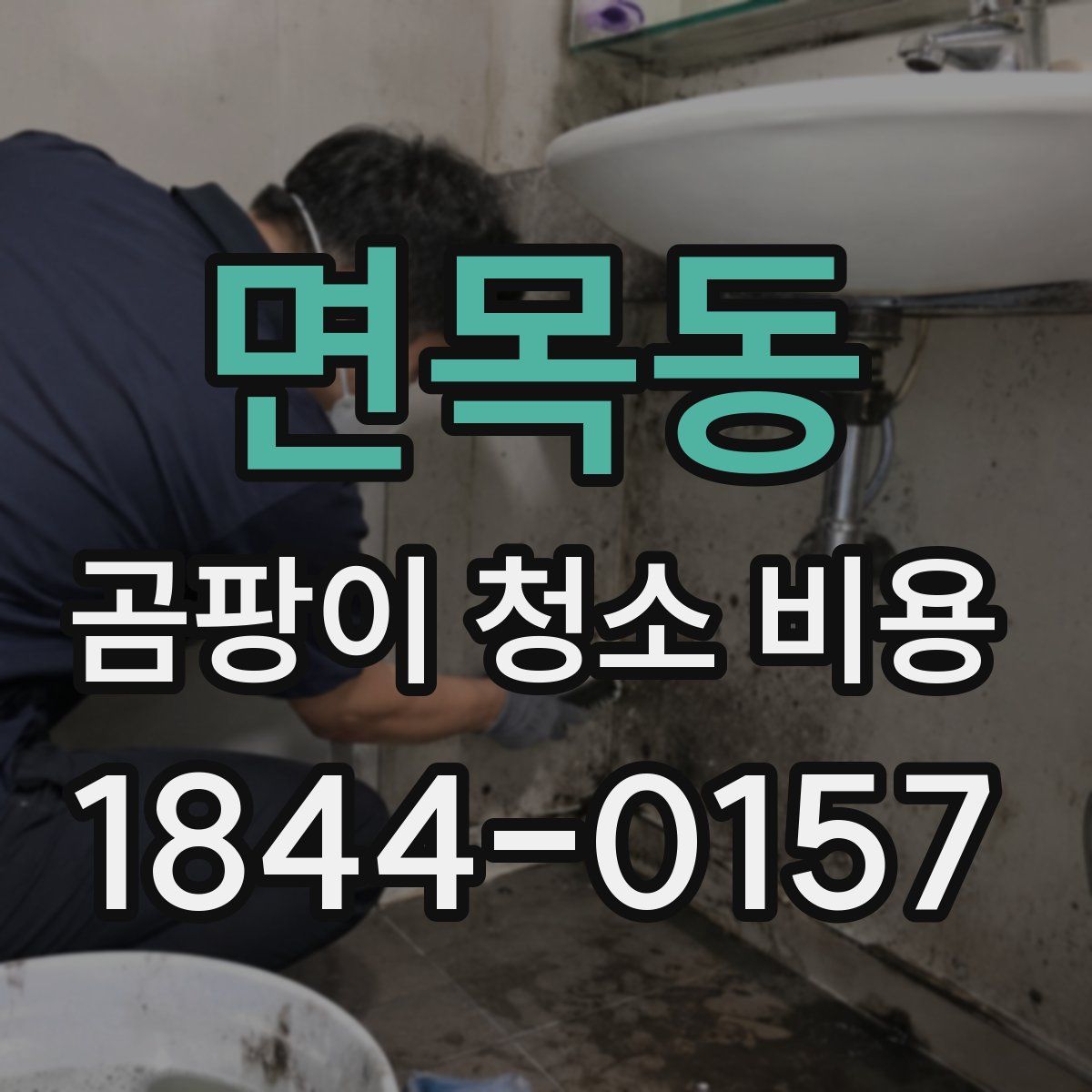 면목동 곰팡이 청소 비용