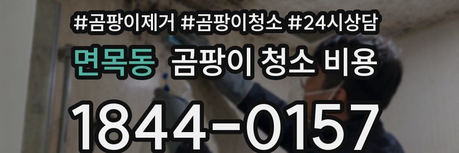 면목동 곰팡이 청소 비용