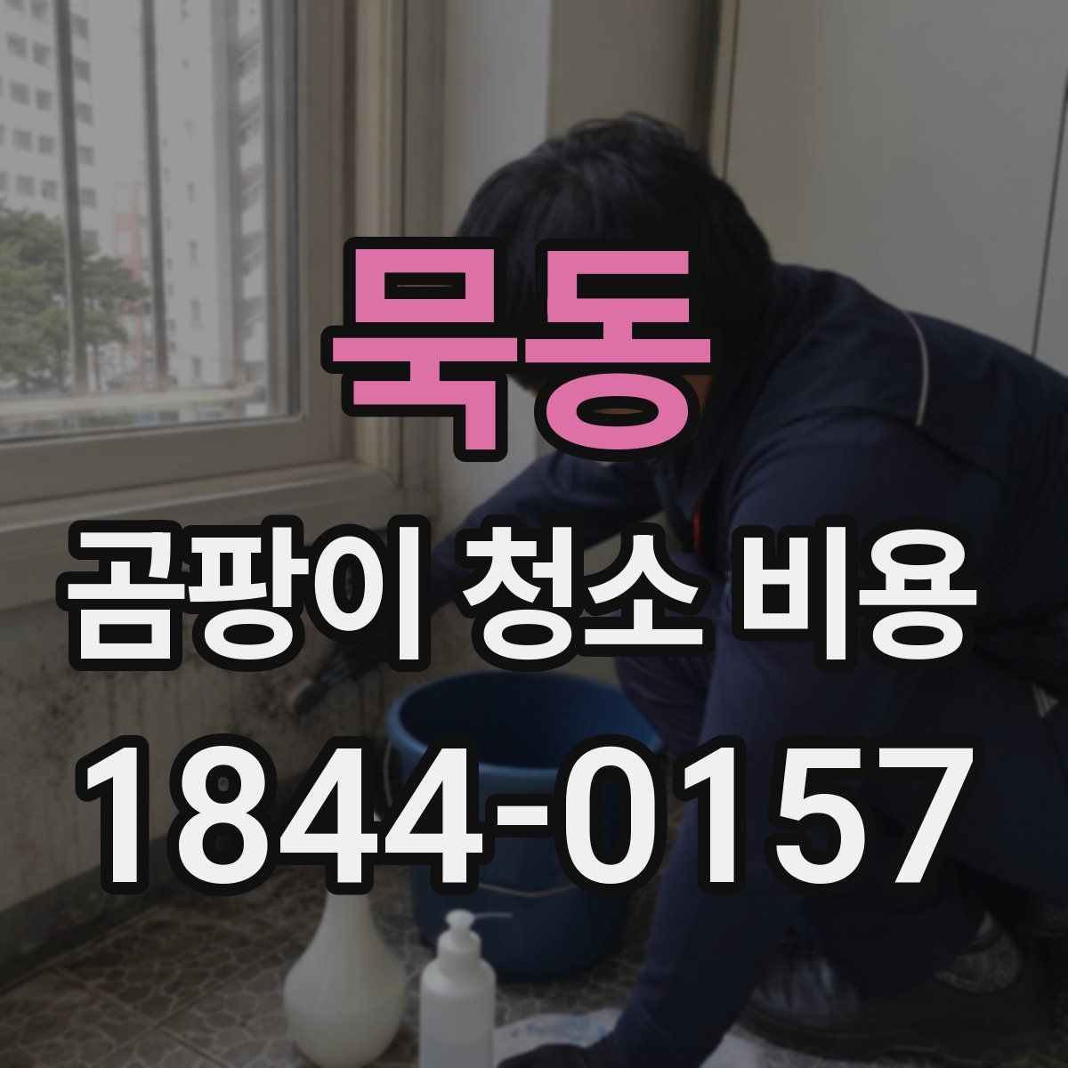 묵동 곰팡이 청소 비용
